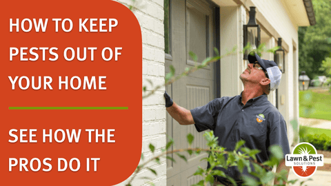 Keep Pests Out of Home