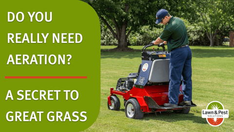 Lawn Aeration Needed