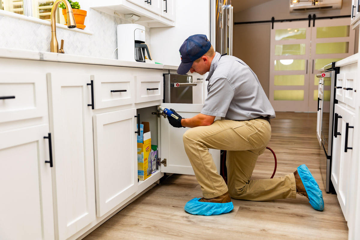 What Should Professional Pest Inspection and Assessment Include?